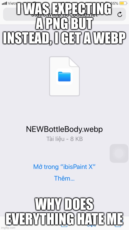 I WAS EXPECTING A PNG BUT INSTEAD, I GET A WEBP; WHY DOES EVERYTHING HATE ME | made w/ Imgflip meme maker