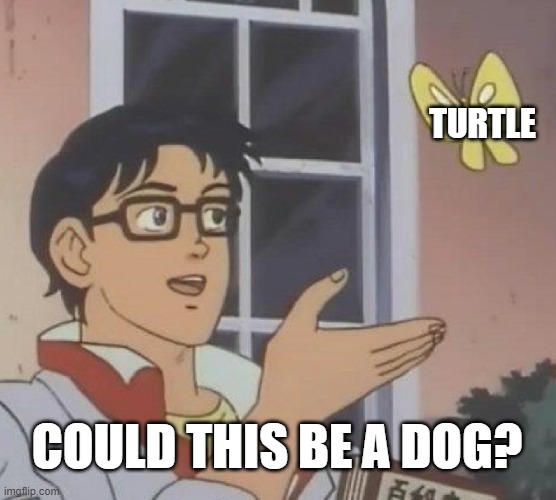 I instantly thought of this meme when I read the turtle message. | TURTLE; COULD THIS BE A DOG? | image tagged in memes,is this a pigeon,elden ring,gaming,video games | made w/ Imgflip meme maker