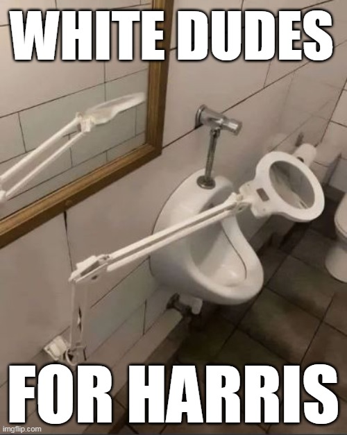 WHITE DUDES; FOR HARRIS | made w/ Imgflip meme maker