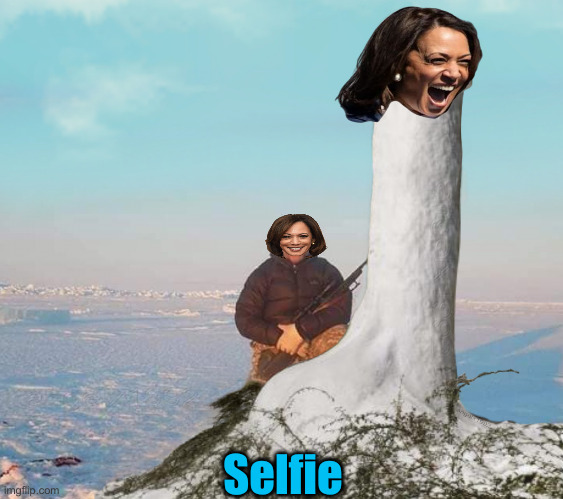 snowman | Selfie | image tagged in snowman | made w/ Imgflip meme maker