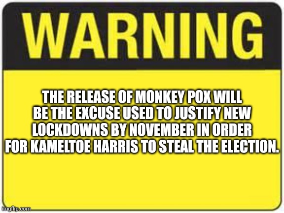 Lockdowns Incoming | THE RELEASE OF MONKEY POX WILL BE THE EXCUSE USED TO JUSTIFY NEW LOCKDOWNS BY NOVEMBER IN ORDER FOR KAMELTOE HARRIS TO STEAL THE ELECTION. | image tagged in blank warning sign,plandemic,we're doing a sequel | made w/ Imgflip meme maker