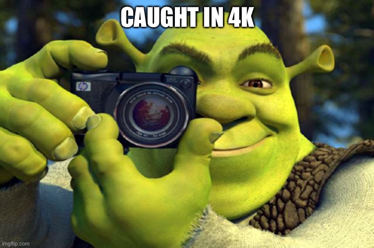 shrek camera | CAUGHT IN 4K | image tagged in shrek camera | made w/ Imgflip meme maker