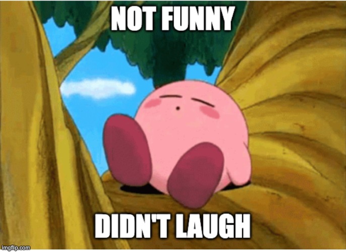 not funny didn't laugh | image tagged in not funny didn't laugh | made w/ Imgflip meme maker