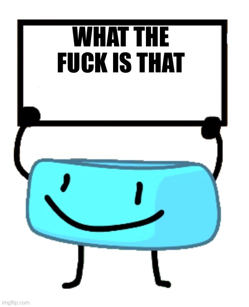 Bracelety Sign | WHAT THE FUCK IS THAT | image tagged in bracelety sign | made w/ Imgflip meme maker