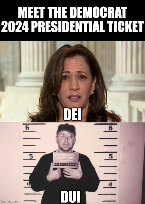 DEI and DUI should get along like a house on fire. | MEET THE DEMOCRAT 2024 PRESIDENTIAL TICKET; DEI; DUI | image tagged in kamala harris,tim waltz,crying democrats,double standard,stupid liberals,epic fail | made w/ Imgflip meme maker