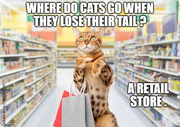 memes by Brad - Cat lost his tail and went to a "retail" store | WHERE DO CATS GO WHEN THEY LOSE THEIR TAIL ? A RETAIL STORE . | image tagged in funny,cats,funny cat memes,kittens,tails,humor | made w/ Imgflip meme maker