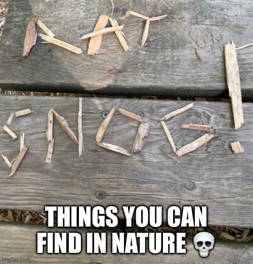 Nature is very beautiful | THINGS YOU CAN FIND IN NATURE 💀 | image tagged in nature,woodchips | made w/ Imgflip meme maker