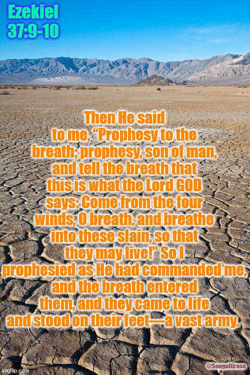 Ezekiel 37:9-10 | Then He said to me, “Prophesy to the breath; prophesy, son of man, and tell the breath that this is what the Lord GOD says: Come from the four winds, O breath, and breathe into these slain, so that they may live!” So I prophesied as He had commanded me,
and the breath entered them, and they came to life and stood on their feet—a vast army. Ezekiel 37:9-10; @SongofGrace | image tagged in dry lake bed,biblical encouragement | made w/ Imgflip meme maker