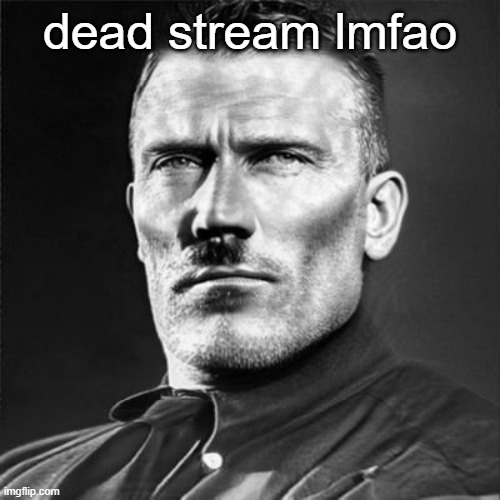 funny man mewing | dead stream lmfao | image tagged in funny man mewing | made w/ Imgflip meme maker