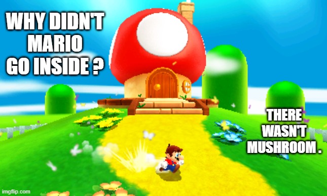 memes by Brad - Why didn't Mario go inside - Mario Brothers | WHY DIDN'T MARIO GO INSIDE ? THERE WASN'T MUSHROOM . | image tagged in funny,gaming,super mario bros,mario,luigi,humor | made w/ Imgflip meme maker