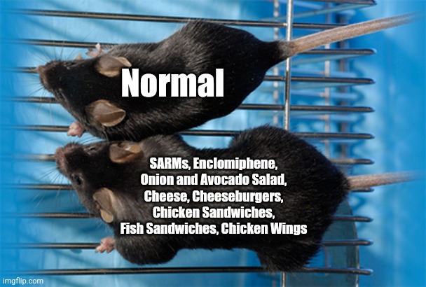 Buff Super Mice SARMs and Test Base and Protein | Normal; SARMs, Enclomiphene, Onion and Avocado Salad, Cheese, Cheeseburgers, Chicken Sandwiches, Fish Sandwiches, Chicken Wings | image tagged in buff super mice | made w/ Imgflip meme maker