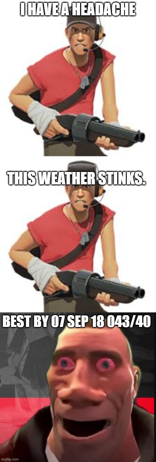 Scout haves a headache | I HAVE A HEADACHE; THIS WEATHER STINKS. BEST BY 07 SEP 18 043/40 | image tagged in english motherfucker do you speak it | made w/ Imgflip meme maker