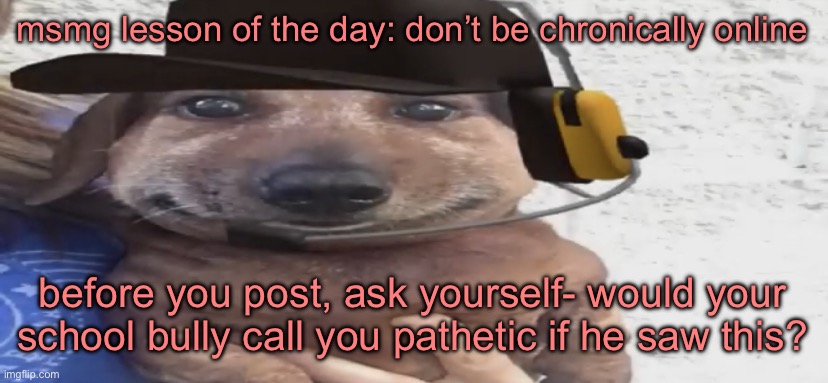 chucklenuts | msmg lesson of the day: don’t be chronically online; before you post, ask yourself- would your school bully call you pathetic if he saw this? | image tagged in chucklenuts | made w/ Imgflip meme maker