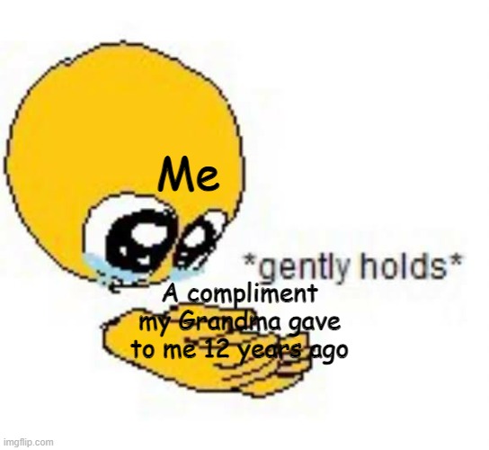 I must never forget | Me; A compliment my Grandma gave to me 12 years ago | image tagged in gently holds emoji | made w/ Imgflip meme maker