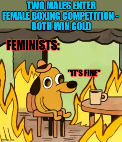 Olympic Domestic Violence | TWO MALES ENTER FEMALE BOXING COMPETITION - 
BOTH WIN GOLD; FEMINISTS:; "IT'S FINE" | image tagged in its fine,domestic violence,olympics,paris 2024 | made w/ Imgflip meme maker