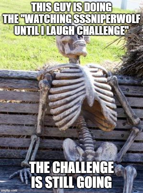 Waiting Skeleton | THIS GUY IS DOING THE "WATCHING SSSNIPERWOLF UNTIL I LAUGH CHALLENGE"; THE CHALLENGE IS STILL GOING | image tagged in memes,waiting skeleton | made w/ Imgflip meme maker