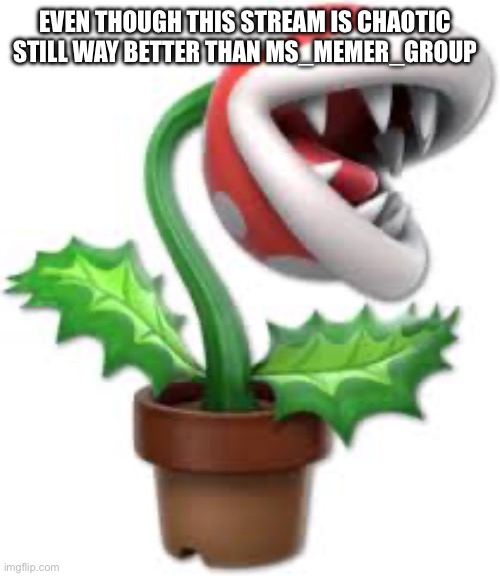 piranha plant | EVEN THOUGH THIS STREAM IS CHAOTIC STILL WAY BETTER THAN MS_MEMER_GROUP | image tagged in piranha plant,bingus | made w/ Imgflip meme maker