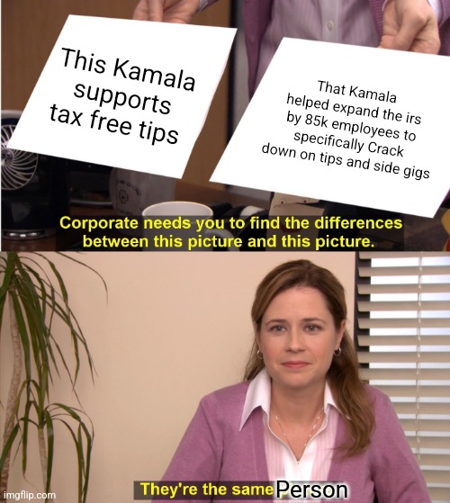 They're The Same Picture Meme | This Kamala supports tax free tips; That Kamala helped expand the irs by 85k employees to specifically Crack down on tips and side gigs; Person | image tagged in memes,they're the same picture | made w/ Imgflip meme maker