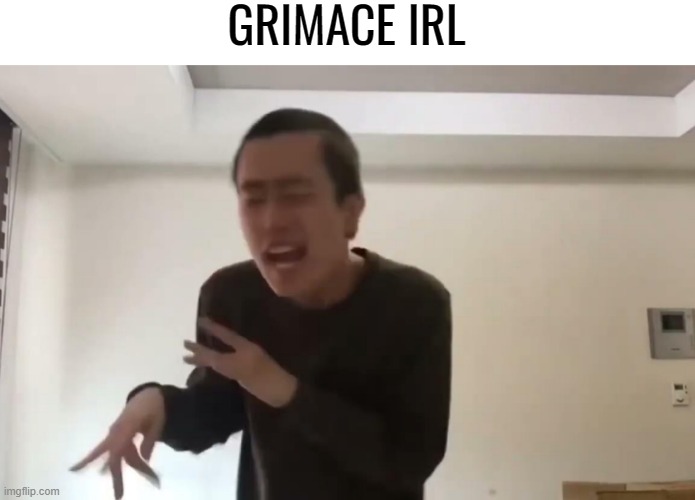 Crazy idiot | GRIMACE IRL | image tagged in crazy idiot | made w/ Imgflip meme maker