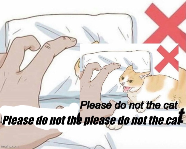 Please do not the please do not the cat | Please do not the please do not the cat | image tagged in please do not the cat | made w/ Imgflip meme maker