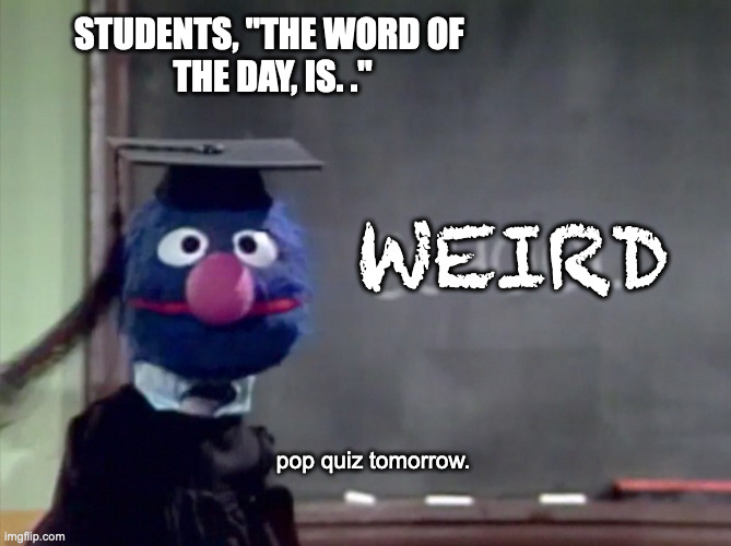 Grover | STUDENTS, "THE WORD OF 
THE DAY, IS. ." WEIRD pop quiz tomorrow. | image tagged in grover | made w/ Imgflip meme maker