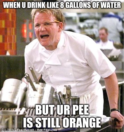 True Rage Fuel | WHEN U DRINK LIKE 8 GALLONS OF WATER; BUT UR PEE IS STILL ORANGE | image tagged in memes,chef gordon ramsay | made w/ Imgflip meme maker