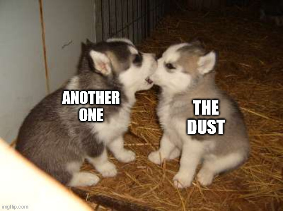 Another one bites the dust! | ANOTHER ONE; THE DUST | image tagged in memes,cute puppies | made w/ Imgflip meme maker