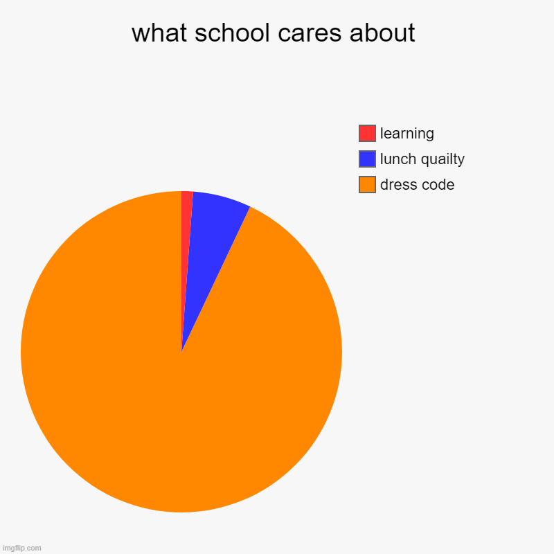 100% (comment if i need to add something) | what school cares about | dress code, lunch quailty, learning | image tagged in charts,pie charts | made w/ Imgflip chart maker