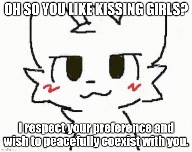 you like kissing boys | OH SO YOU LIKE KISSING GIRLS? I respect your preference and wish to peacefully coexist with you. | image tagged in you like kissing boys | made w/ Imgflip meme maker