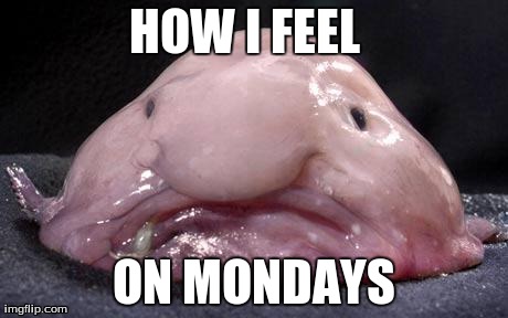 blobfish Memes & GIFs - Imgflip