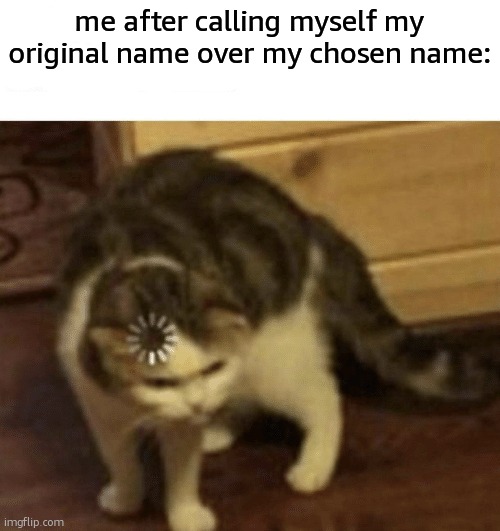 Cat Loading template | me after calling myself my original name over my chosen name: | image tagged in cat loading template | made w/ Imgflip meme maker