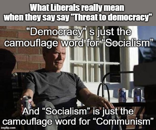 What Liberals really mean when they say say "Threat to democracy" | What Liberals really mean 
when they say say "Threat to democracy" | image tagged in threat to democracy,socialism,communism | made w/ Imgflip meme maker