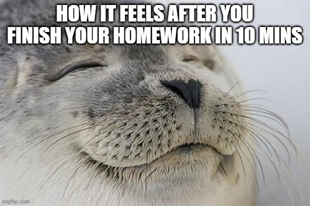 bro homework | HOW IT FEELS AFTER YOU FINISH YOUR HOMEWORK IN 10 MINS | image tagged in memes,satisfied seal | made w/ Imgflip meme maker