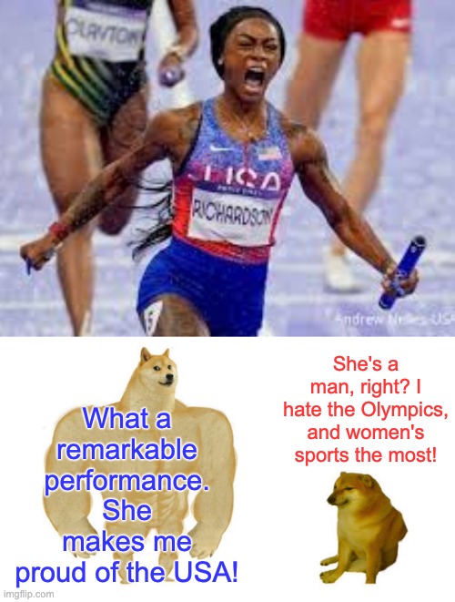 Political Rorschach test: Patriots vs. Haters | What a remarkable performance. She makes me proud of the USA! She's a man, right? I hate the Olympics, and women's sports the most! | image tagged in dodge chad vs virgin,women,olympics,psychology,haters,patriots | made w/ Imgflip meme maker