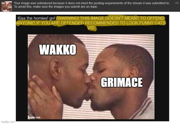 blud's mod abusing even tho I gave a warning message that the image doesn't meant to offend ANYONE! | image tagged in i know who,wakko just dissapprove,vinny x theyesninja,correct me | made w/ Imgflip meme maker