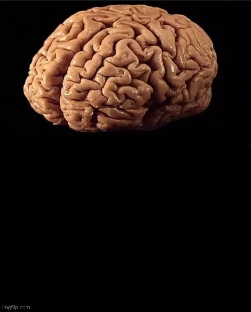 This is your brain | image tagged in this is your brain | made w/ Imgflip meme maker
