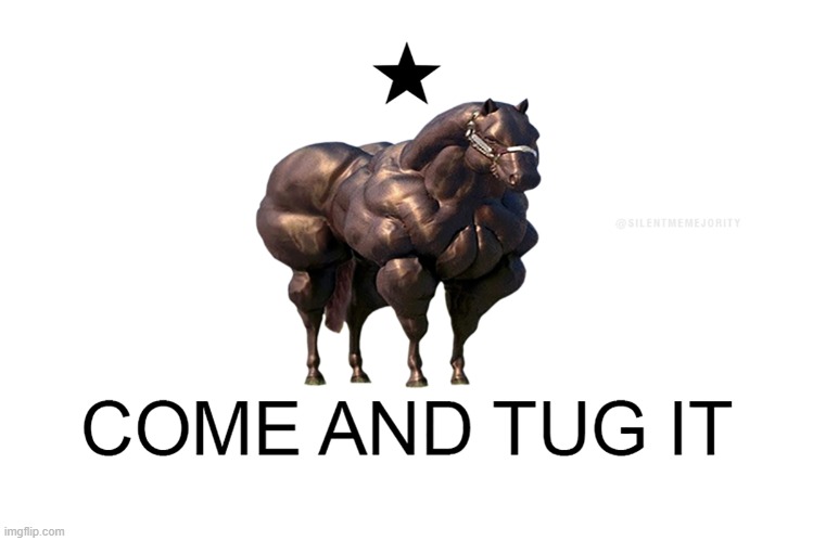 8zy86b.jpg