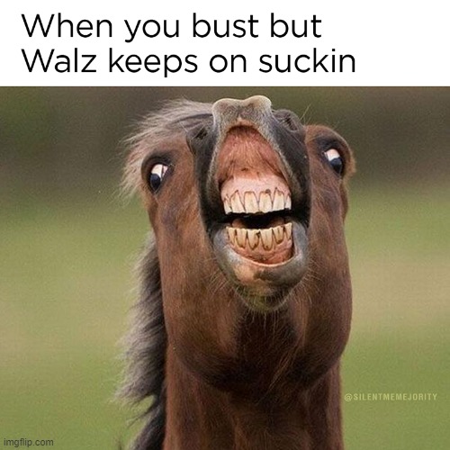 8zy8a2.jpg