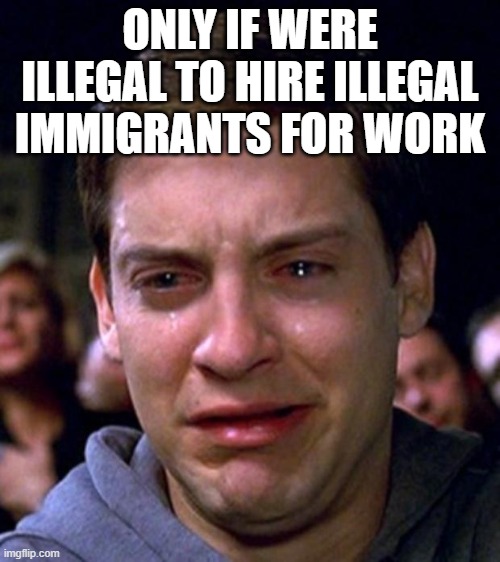 crying peter parker | ONLY IF WERE ILLEGAL TO HIRE ILLEGAL IMMIGRANTS FOR WORK | image tagged in crying peter parker | made w/ Imgflip meme maker