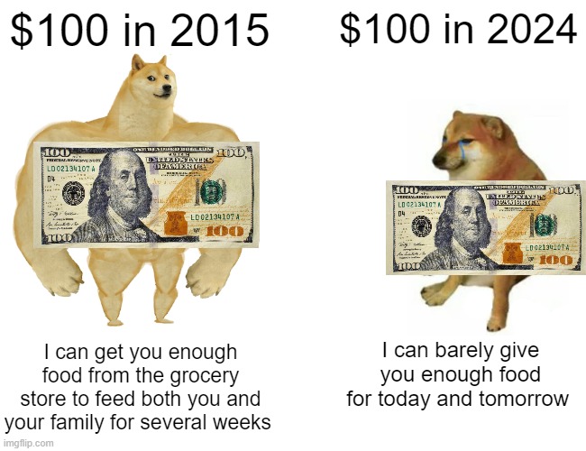 fr | $100 in 2015; $100 in 2024; I can get you enough food from the grocery store to feed both you and your family for several weeks; I can barely give you enough food for today and tomorrow | image tagged in memes,buff doge vs cheems | made w/ Imgflip meme maker