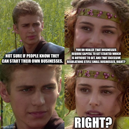 Anakin Padme 4 Panel | NOT SURE IF PEOPLE KNOW THEY CAN START THEIR OWN BUSINESSES. YOU DO REALIZE THAT BUSINESSES REQUIRE CAPITAL TO GET STARTED WHICH IS DIFFICUL | image tagged in anakin padme 4 panel | made w/ Imgflip meme maker