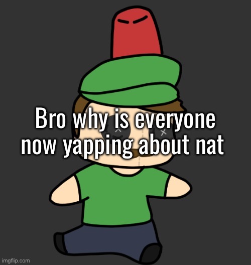 What did vro do | Bro why is everyone now yapping about nat | image tagged in masterhyde s plush from disco | made w/ Imgflip meme maker