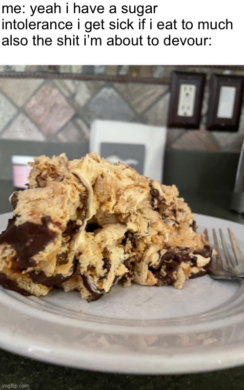 the thing you’re looking at is a mutilated peanut butter and chocolate pie. i got frustrated taking it out so i kinda tore it up | me: yeah i have a sugar intolerance i get sick if i eat to much
also the shit i’m about to devour: | made w/ Imgflip meme maker
