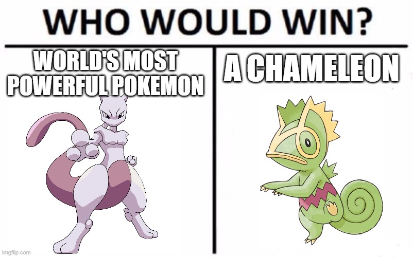 you need to see them on Pokemon Mystery Dungeon | A CHAMELEON; WORLD'S MOST POWERFUL POKEMON | image tagged in who would win,mewtwo,pokemon,pokemon memes,nintendo,game logic | made w/ Imgflip meme maker