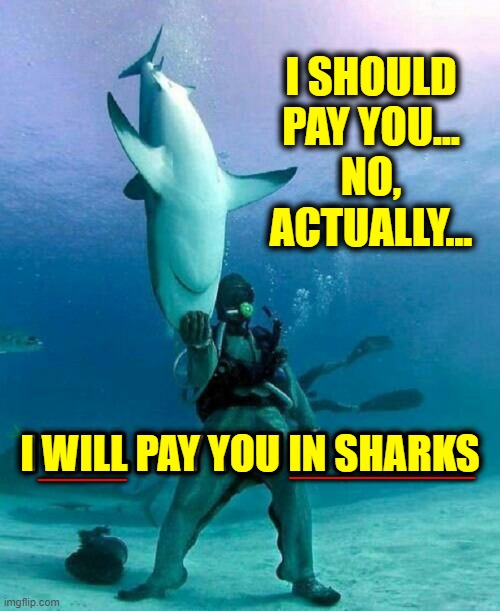 Forget Crypto: A new form of payment | I SHOULD PAY YOU...
NO,
ACTUALLY... I WILL PAY YOU IN SHARKS ____ ________ | image tagged in vince vance,sharks,memes,cryptocurrency,bitcoin,diver | made w/ Imgflip meme maker