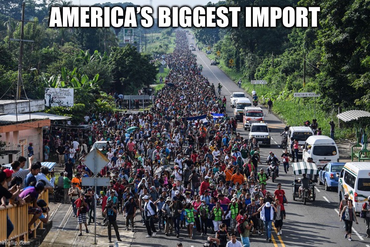 immigrant caravan | AMERICA’S BIGGEST IMPORT | image tagged in immigrant caravan | made w/ Imgflip meme maker