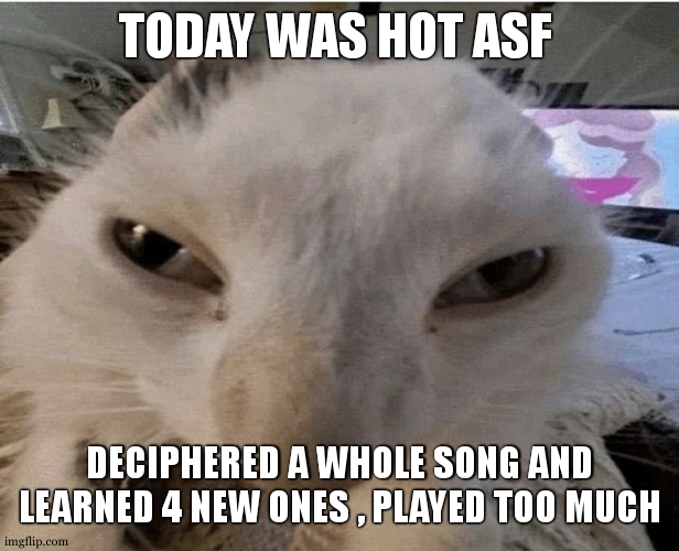 fingers almost bleeding and my arm is tired | TODAY WAS HOT ASF; DECIPHERED A WHOLE SONG AND LEARNED 4 NEW ONES , PLAYED TOO MUCH | made w/ Imgflip meme maker