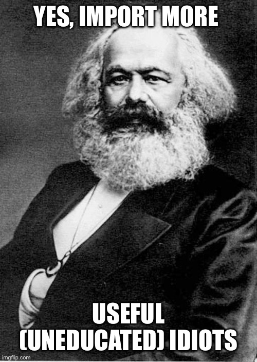 Karl Marx | YES, IMPORT MORE USEFUL (UNEDUCATED) IDIOTS | image tagged in karl marx | made w/ Imgflip meme maker