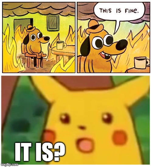 this is (apparently) fine | IT IS? | image tagged in memes,this is fine,bruh | made w/ Imgflip meme maker