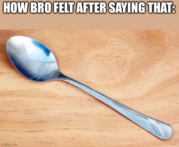Spoon | HOW BRO FELT AFTER SAYING THAT: | image tagged in spoon | made w/ Imgflip meme maker
